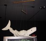 013 Denk und Dachte unter Haien 013 Denk und Dachte unter Haien